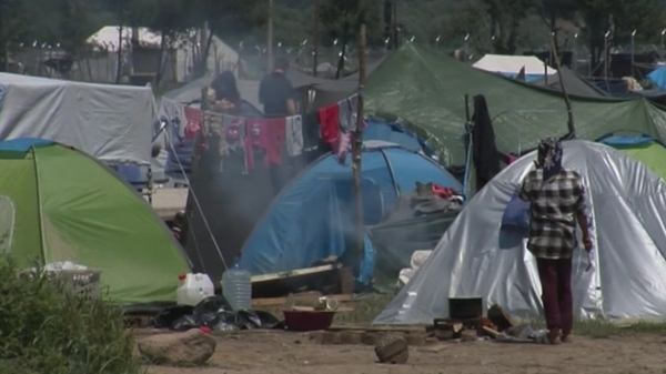 No force was used as officers urged migrants to leave their tents and board buses to take them to shelters