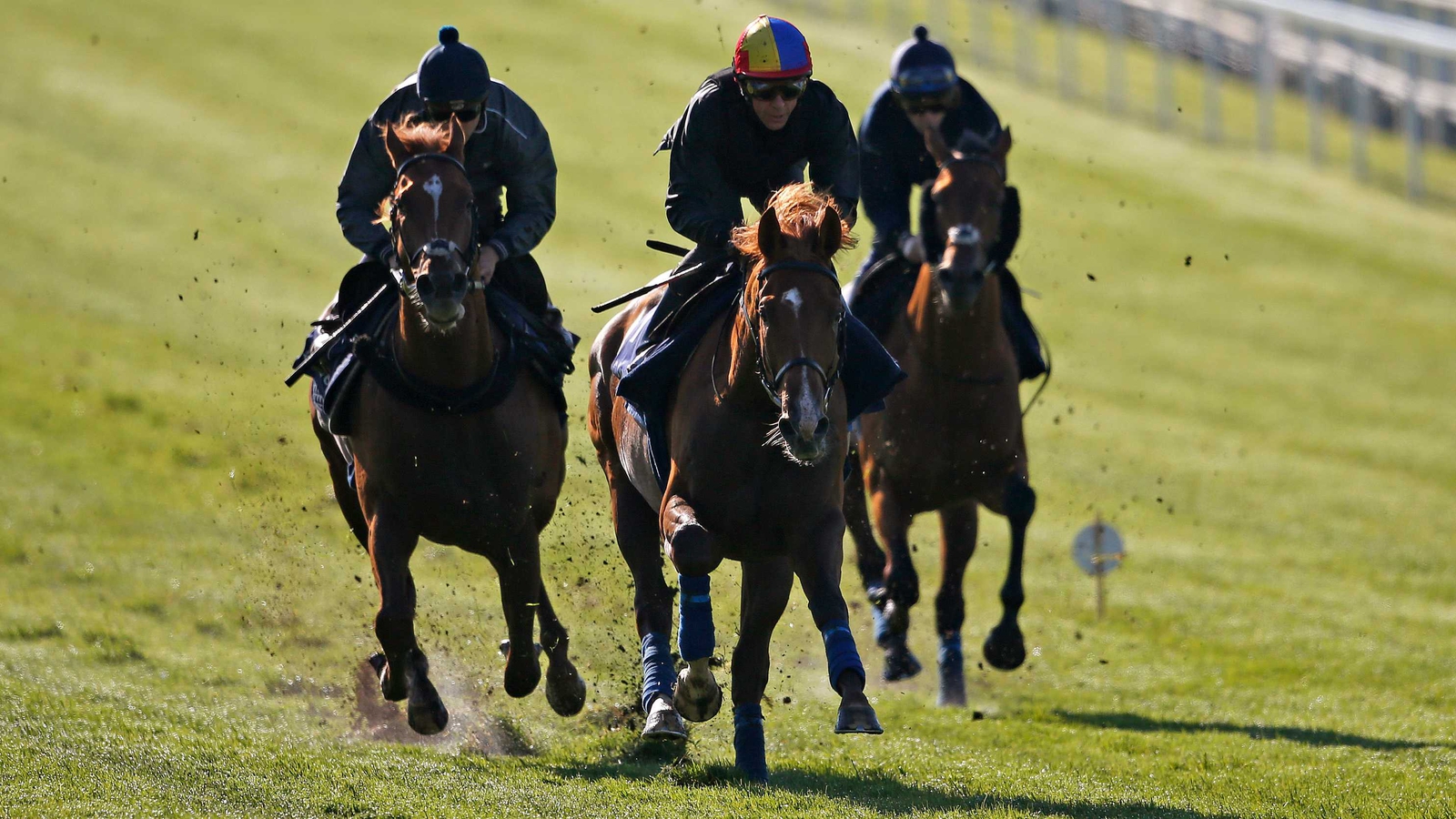 Leading Derby runners enjoy spin at Epsom