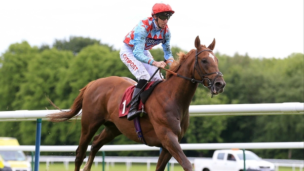 Red Verdon has been hugely progressive this season