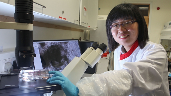 Dr Min Liu, Post-doctoral researcher in Stem Cell Biology in the Biomedical Sciences Building at NUI Galway