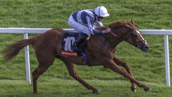 Ulysses may go in the Qipco Irish Champion Stakes