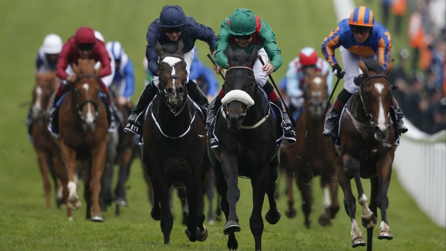 Harzand leads them home