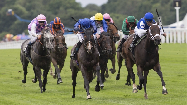 Tepin (white bridle) sluices through the mud at Royal Ascot