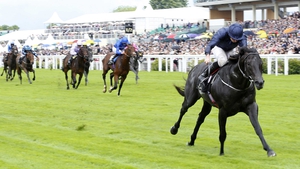 Caravaggio is no bigger than 1-5 to land the Phoenix Stakes on Sunday