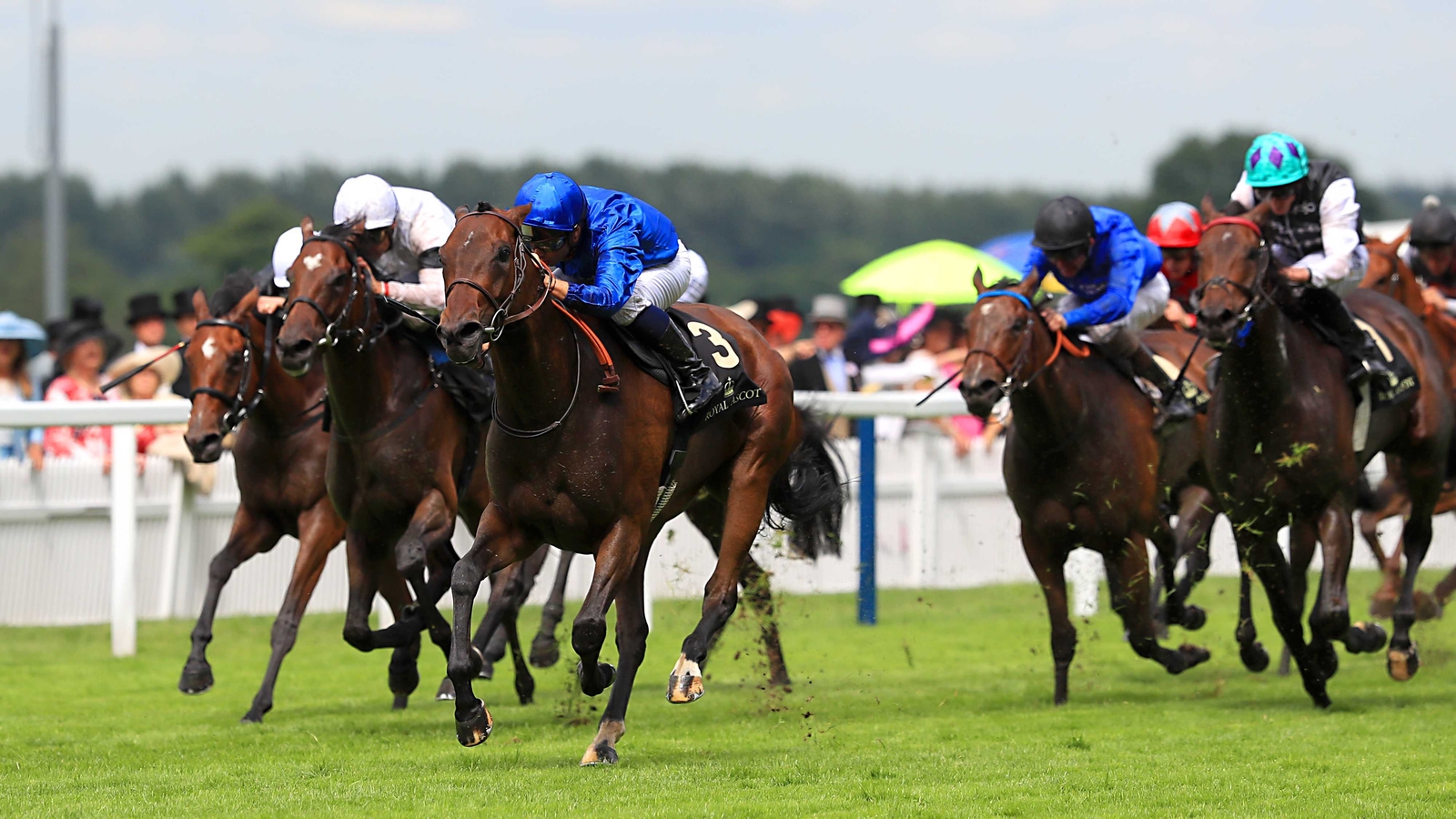 Usherette claims Cambridge Stakes