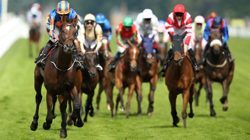 Order of St George won last year's Ascot Gold Cup