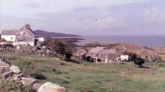 Sherkin Island (1976)