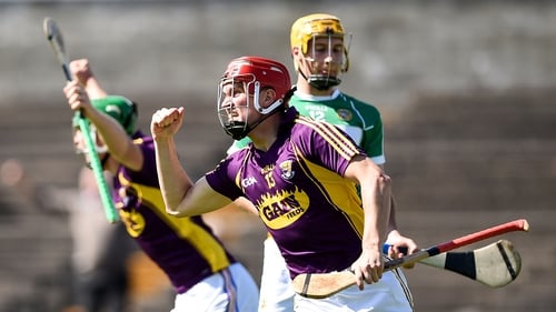 Wexford's Paul Morris celebrates his goal against Offaly in the All-Ireland qualifiers