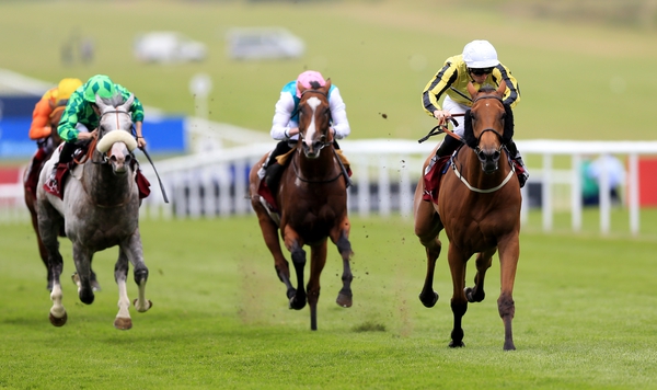 Big Orange (cheekpieces) will head to the Goodwood Cup next
