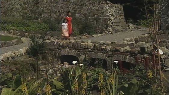 Lissadell Gardens 2006