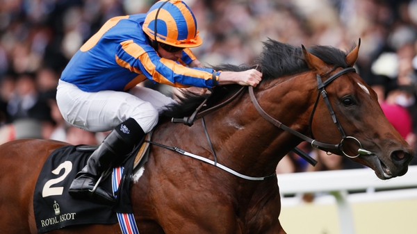 Churchill finished third in the Queen Elizabeth II Stakes at Ascot last Saturday