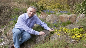 Dermot enjoying the sunshine.