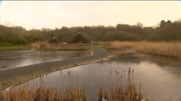 Wexford | Nationwide