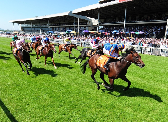 Laytown Races
