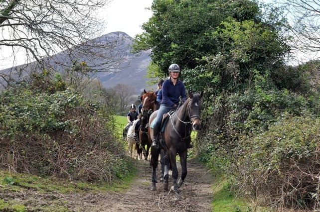 Bren Riding School