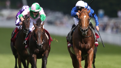 Dutch Connection won in Group Two company for the first time during Glorious Goodwood