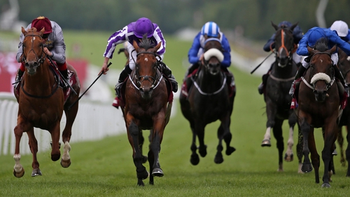 The Gurkha wins the Sussex Stakes at Goodwood