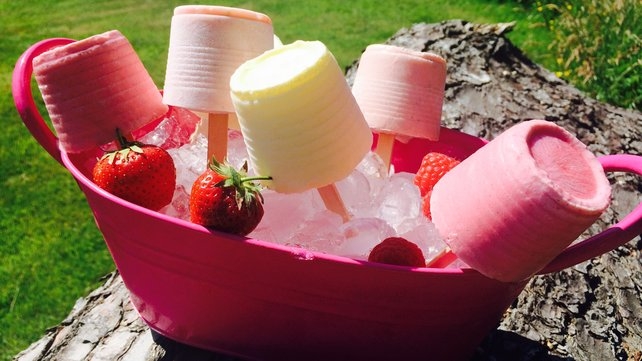 yummy yogurt ice pops