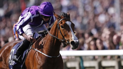 Minding took last year's 1000 Guineas and Oaks