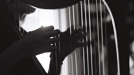 International Irish Harp Festival | RTÉ News