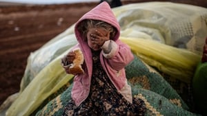 A young Syrian refugee