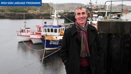 Ireland's Rising