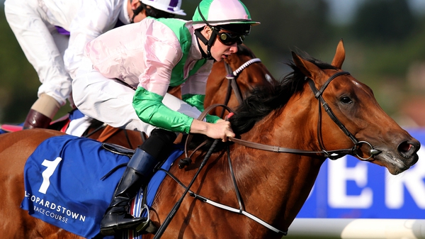 Deauville in action in Leopardstown last year