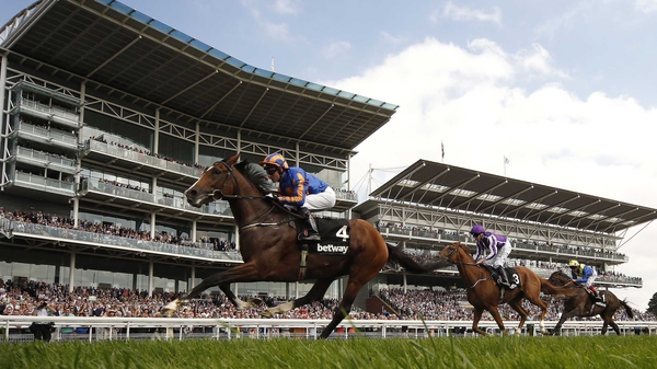 Idaho eases to win at York in Great Voltigeur Stakes