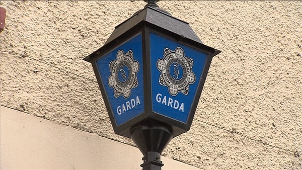 The gardaí involved received medical treatment following the incident (file image)