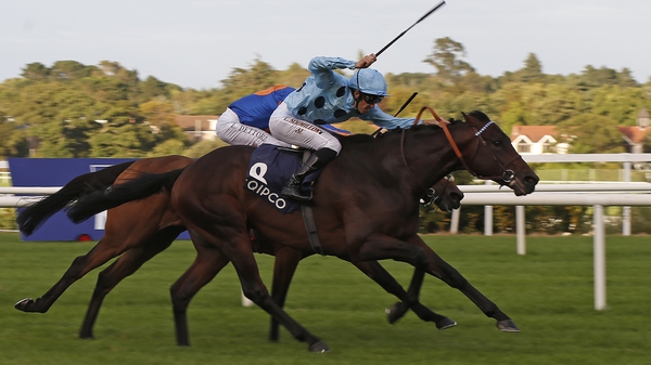 Almanzor (near side) gets the better of Found in the Irish Champion Stakes at Leopardstown