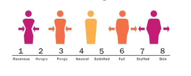 The Hunger Scale