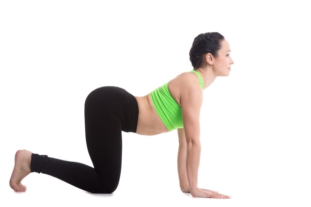 The cow pose