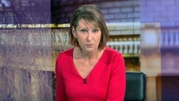 The Week in Politics