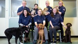 The Pet Surgeons