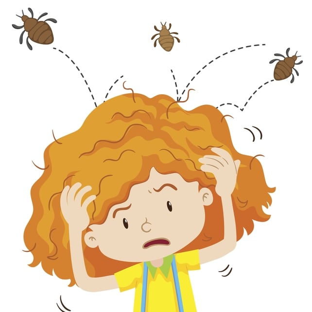 Headlice: Everything you (don't) want to know!