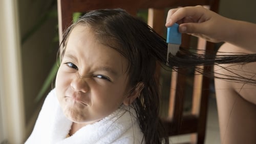 Hair for You - DID YOU KNOW??? That most lice shampoo's only kill