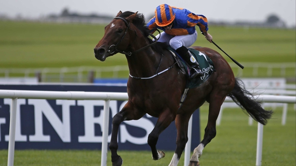 Churchill is the one to beat at the Tattersalls Irish 2,000 Guineas