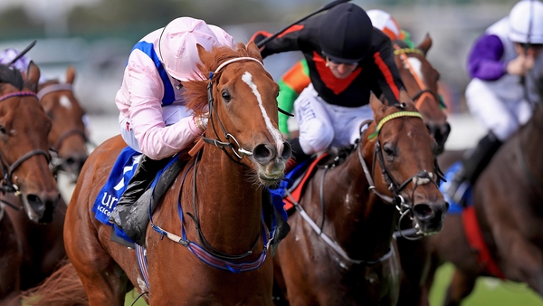 Shanghai Glory, pink colours, ridden by William Buick comes home to win