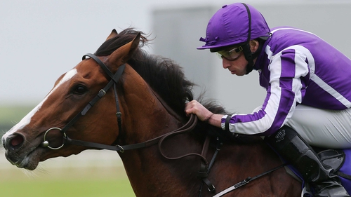 Minding will not return to the race course until autumn