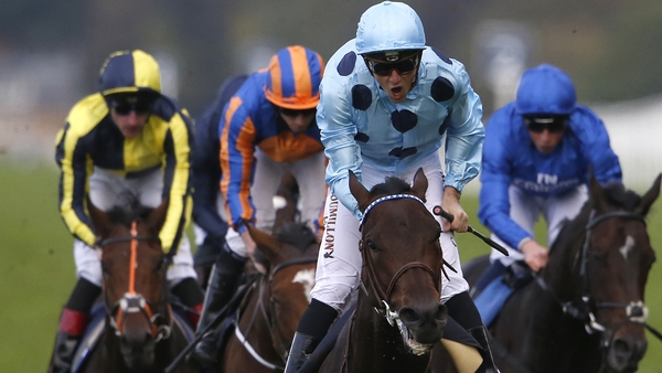Almanzor (c) follows up brilliantly on his Champions Day success at Leopardstown