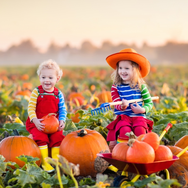 Try a farming-Halloween Experience!