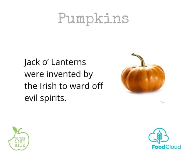 Pumpkin Fact