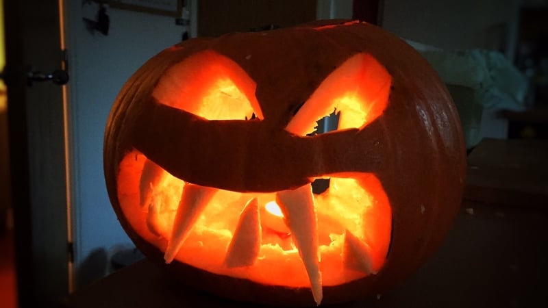 Pet Risks At Halloween