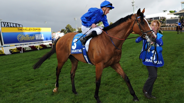 Hartnell could end Godolphin's wait for the Emirates Melbourne Cup