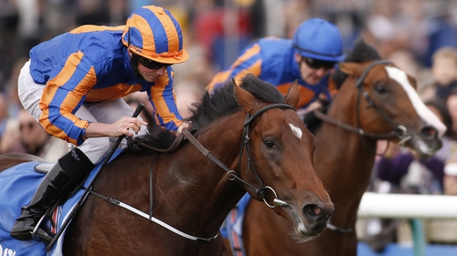 Churchill (near) and Lancaster Bomber are among the 12 entries ahead of the race at Newmarket
