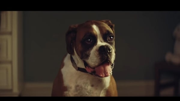 It's beginning to look a lot like Christmas - the John Lewis ad has been unveiled.
