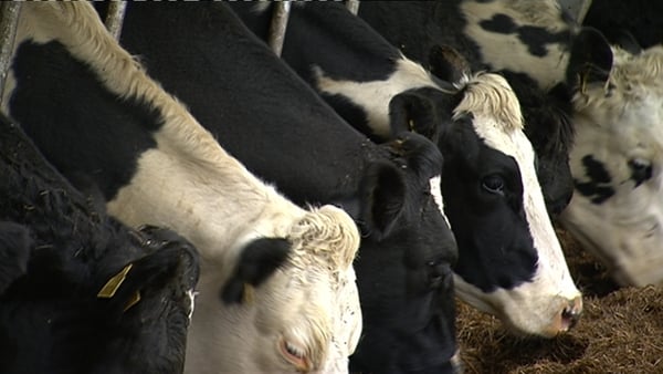 The group says the committee is failing to align agricultural production with environmental protection and legal obligation