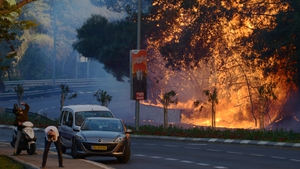 A man covers his head across the street from burning trees in a suburb of the coastal city of Haifa