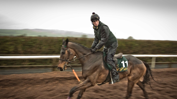 Douvan on the gallops at Willie Mullins' yard