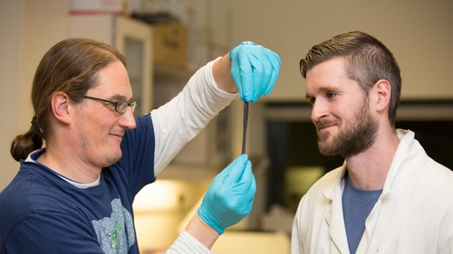 Scientists Jonathan Coleman and Conor Boland of the AMBER centre at Trinity (credit: AMBER/TCD)